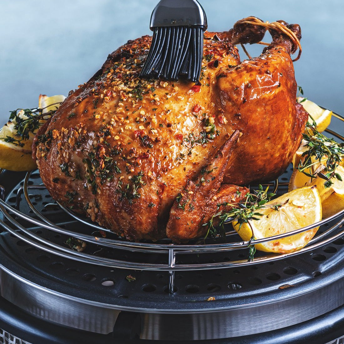 Grillrest mudelite COBB, Premier jaoks